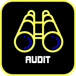 2-signatio_audit-1